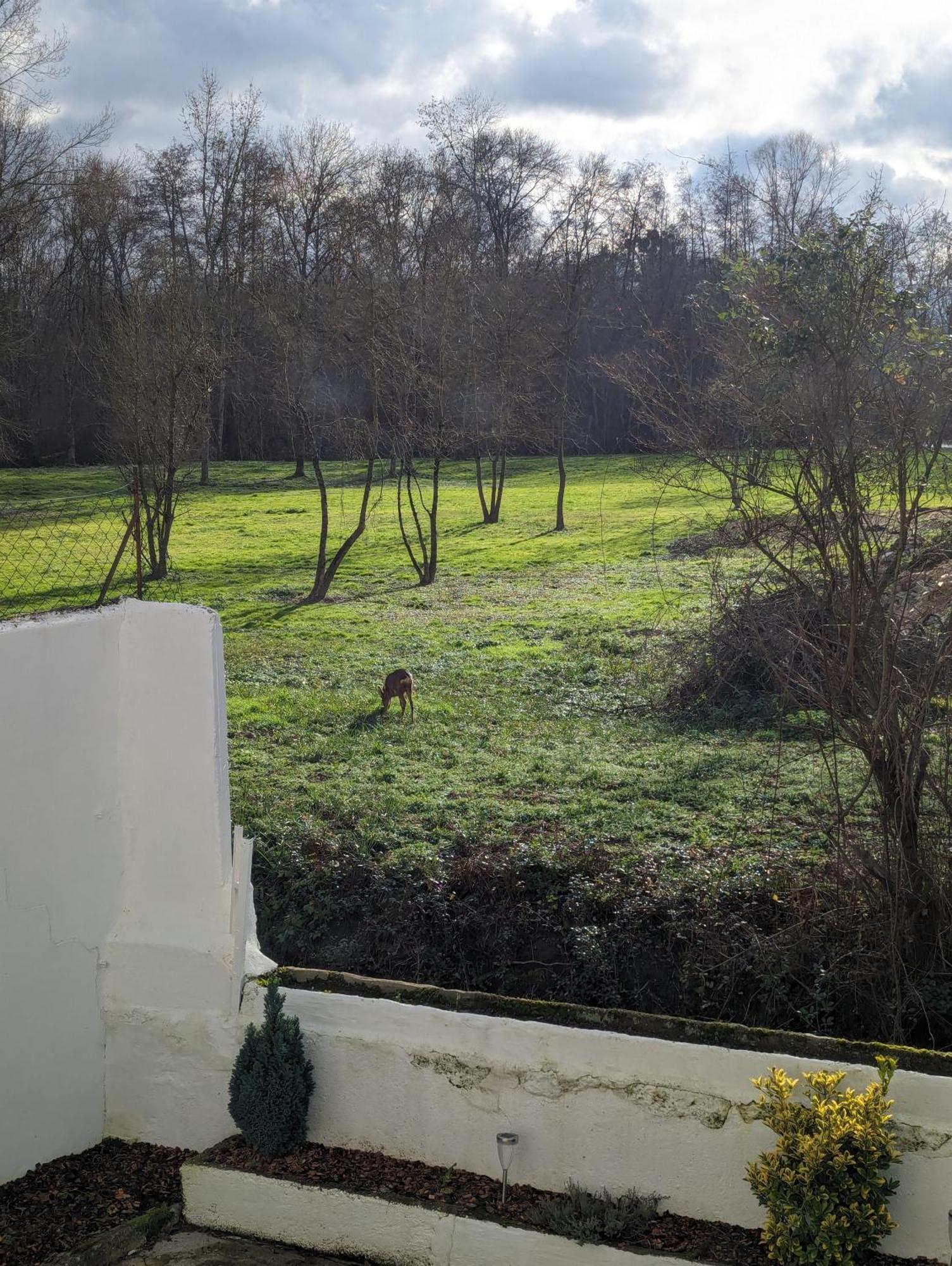 Maison Familiale Solognote Vierzon